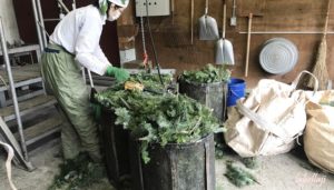 ﾗﾍﾗｼﾞ11月13日：フプの森 代表取締役田邊真理恵さん、取締役亀山範子さん 2